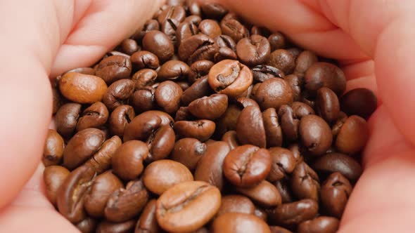 Woman Sits and Holds Handful of Roasted Coffee Grains Macro