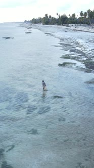 Vertical Video of the Ocean Near the Coast of Zanzibar Tanzania