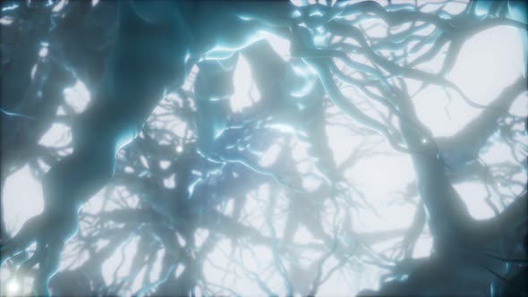 Journey Through a Neuron Cell Network Inside the Brain alt