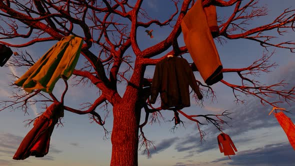 Laundry Hanging on Tree Branches