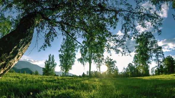 Mountain Meadow Timelapse at the Summer or Autumn Time