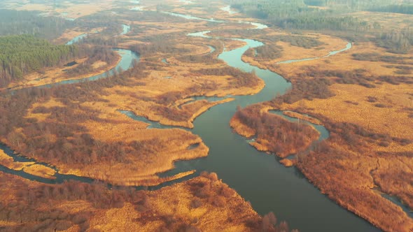 Aerial View Of Forest Woods And Partly Frozen River Landscape In Sunny Late Autunn Day