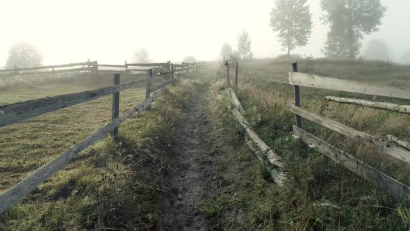 Foggy Road