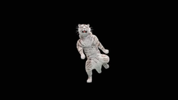 White Tiger Dancing HD