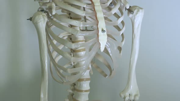 Tilt up of a synthetical skeleton