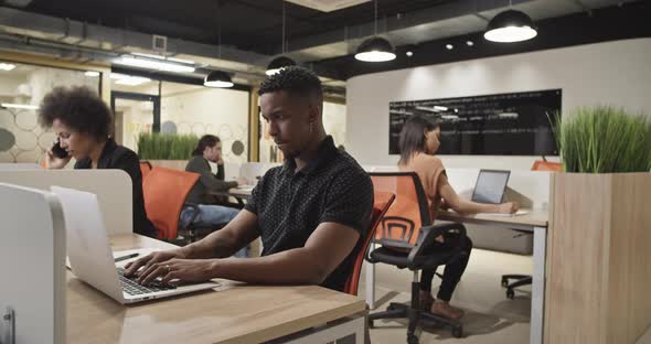 Diverse Colleagues Using Laptops in Office