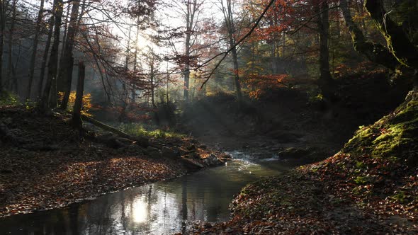 River in the sunlight