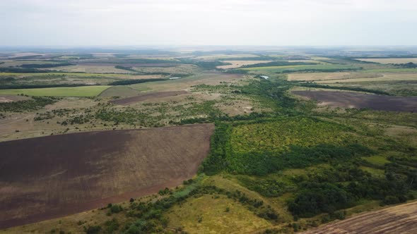 Wheat Fields Aerial View