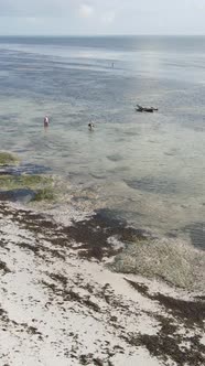 Tanzania  Vertical Video of Low Tide in the Ocean Near the Coast of Zanzibar Slow Motion