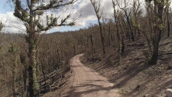 Drone Aerial - Australian Bushfire Burnt Landscape 1