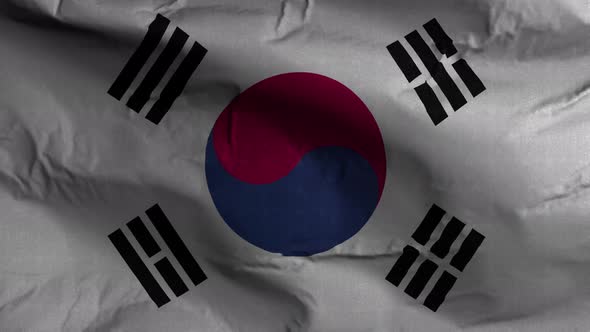 Korea South Flag Textured Waving Background 4K