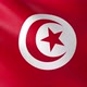 Flag of The Tunisia - VideoHive Item for Sale