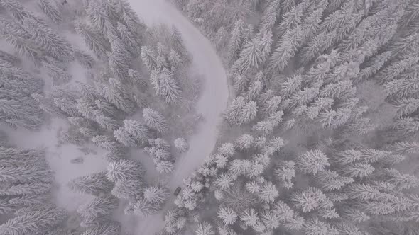 Winter Snowy Mountain Road