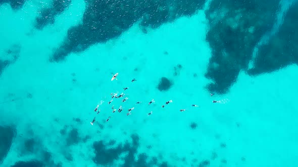 A large group of snorkelers drifting across the tropical coloured waters of the Great Barrier Reef A
