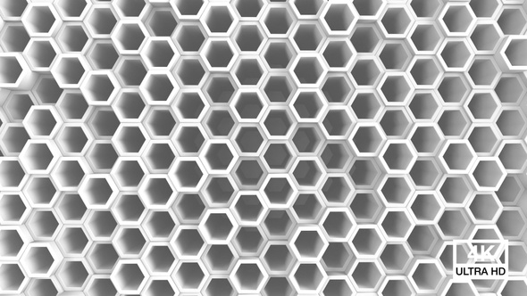 Honeycomb Hexagon Background White