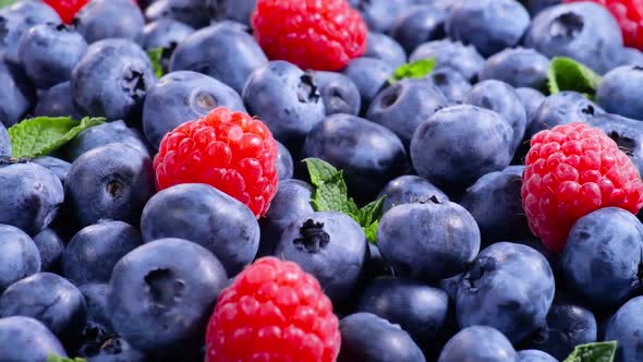 Berries Various Colorful Background Juicy Ripe Summer Berries