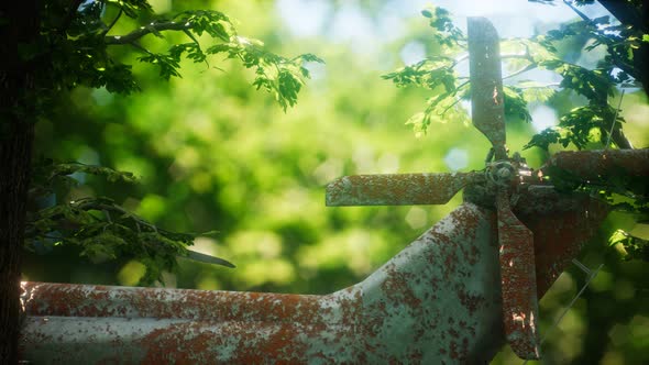 Old Rusted Military Helicopter alt