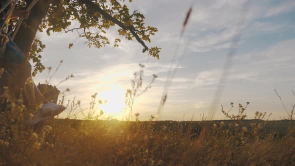 Happy Child Girl on Swing at Golden Summer Sunset. Silhouette of a Young Teenager Girl Swinging on