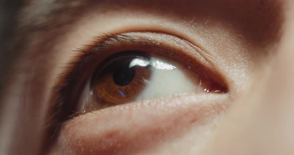 Japanese Asian Man Eyes Closeup Detail Macro Shot Portrait Macro of Man