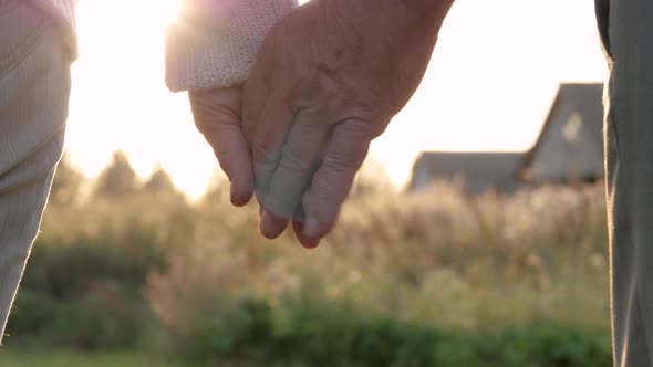 Elderly Old Couple Holding Hands On Background Of Green Nature At Sunset Light