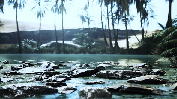 Oasis in the Middle of the Desert with a Lot of Trees alt