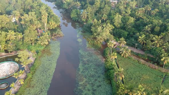 Asian paddy field village,Aerial shot,irrigation,River,Sunrise