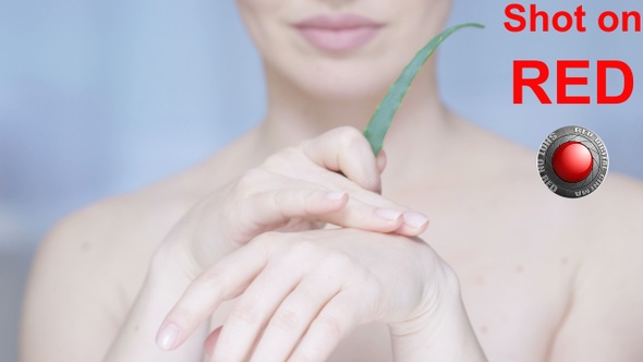 Moisturizing Skin With Aloe Vera A Concept Of Body Care And Healthy Cosmetics 