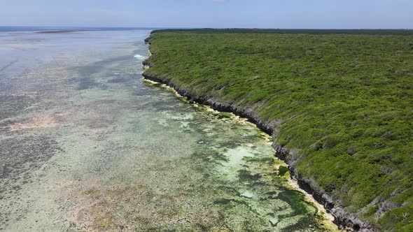 Coast of Zanzibar Island Tanzania Covered with Thickets