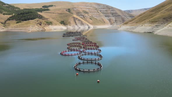 fish farming cage