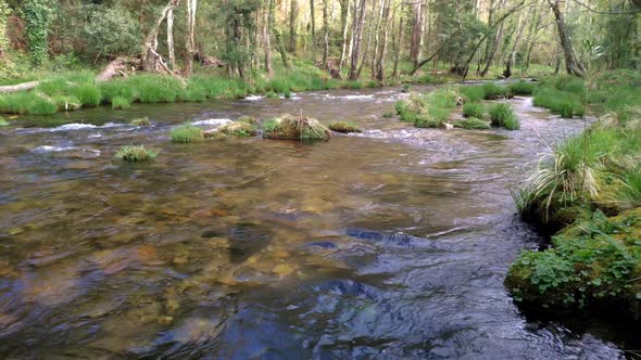 Crystal clear agrua in the river Sor that runs through the valley in spring full of green nature. Ca