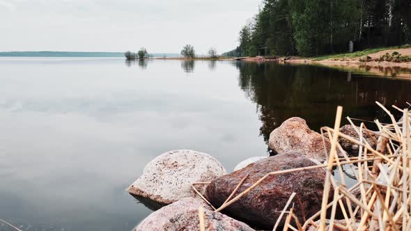 Scenic view of a lake in a forest with calm water on a cloudy day. 4k footage