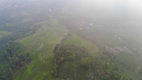 Farmlands and Village Bali Indonesia