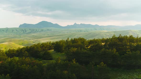 Summer green mountains with herbs