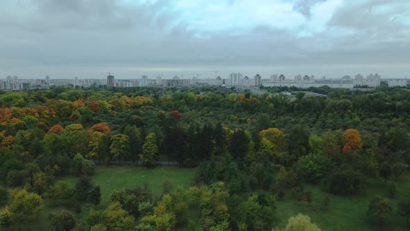 Flight over the autumn park in cloudy weather.