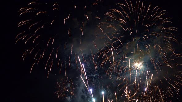 Colorful Firework display at night on sky background