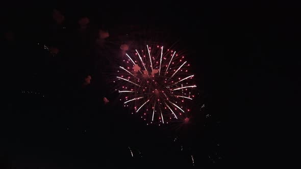 Real Firework Close Up on Deep Black Background Sky on Fireworks Festival From River Bank