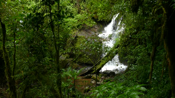 Beautiful waterfall in tropical rain forest, surrounded by lush green vegetation. Gorgeous waterfall