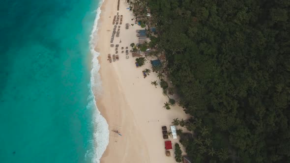 Tropical Sand Beach with Palm Trees