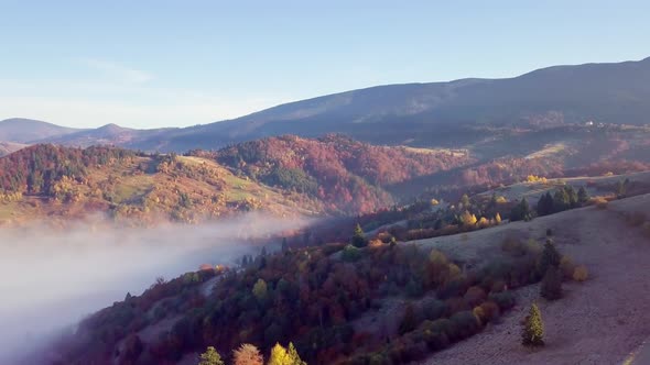 A Wonderful Feeling of a Moving Cloud on a Mountain After Rain