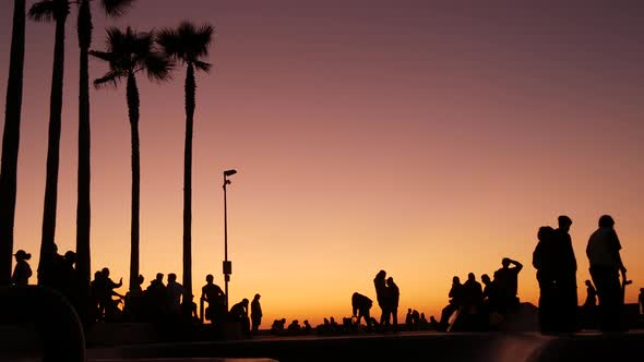 Silhouette of Young Jumping Skateboarder Riding Longboard, Summer Sunset Background. Venice Ocean