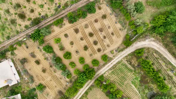 Avocado Fields aerial view 4 K Turkey Alanya