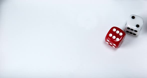 Dice rolling against White background, slow motion 4K