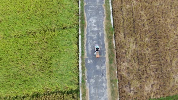 Aerial overhead shot following person driving vespa by rice fields