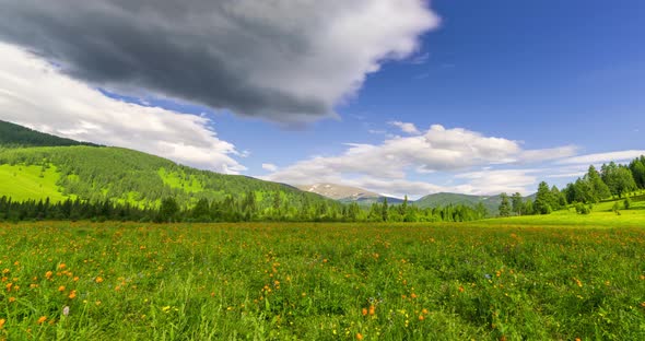 Mountain Meadow Timelapse at the Summer or Autumn Time