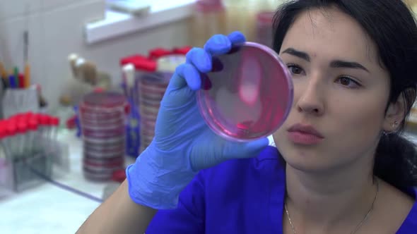 Portrait Pretty Woman Checking Examines Flasks in the Laboratory Then Putting It Back on the Table