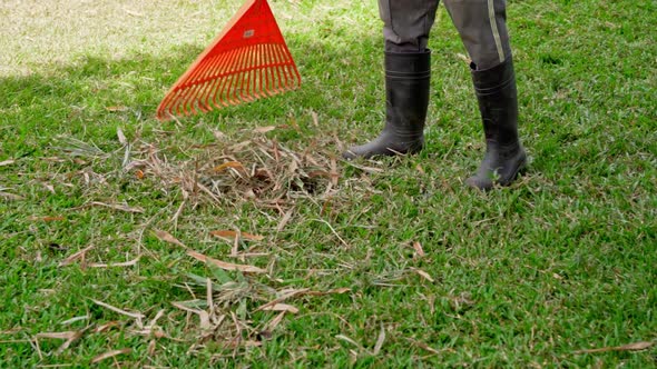 Unrecognizable person raking dry grass from lawn. Handheld