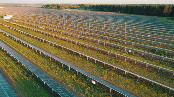 Aerial View Solar Power Station on Green Field at Sunset Solar Panels in Row