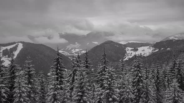 Thick clouds over the mountains in a winter landscape with spruce trees