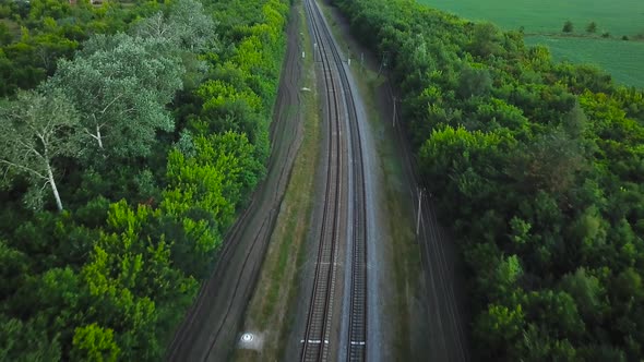 Empty Straight Doubleway Railways Surrounded By Green Forest Aerial Top View