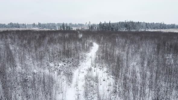 Winter Snow Covered Field with Forest and Path Flying